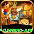 333m VIP Gaming App